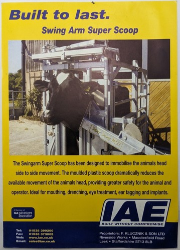 Original iae cattle - cattle, crushes