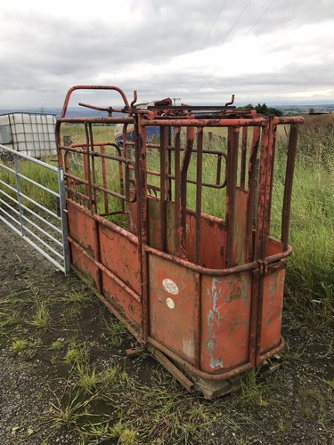 Cattle crush - crush,