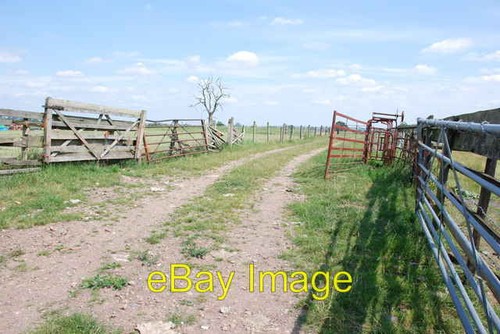 Photo 6x4 holding - photo,