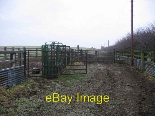 Photo 6x4 cattle crush - photo,