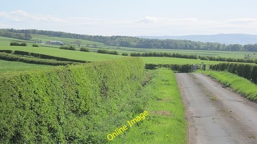 Photo 6x4 minor road - minor, road,