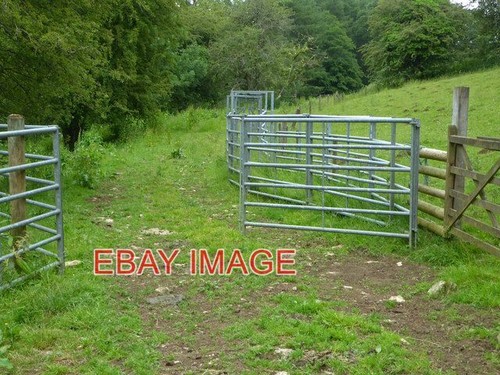 Photo cattle crush - photo,