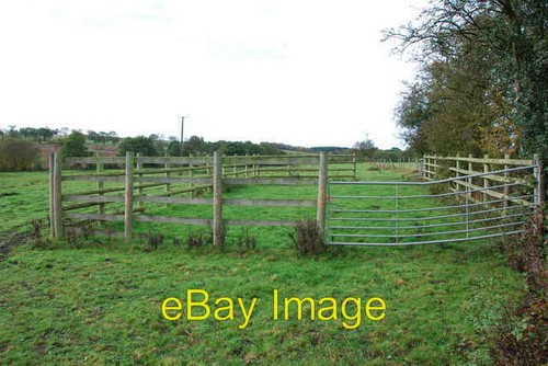 Photo 6x4 cattle crush - photo, in