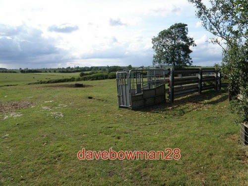 Photo cattle crush and race - photo,