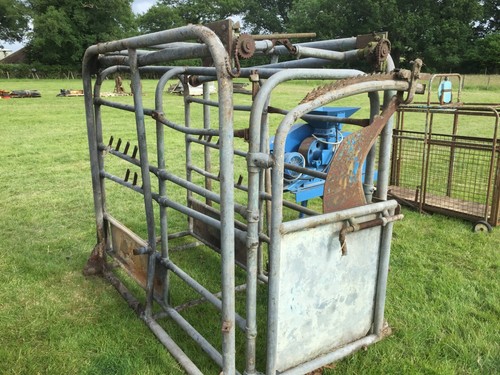 Cattle crush 390 - crush, vat