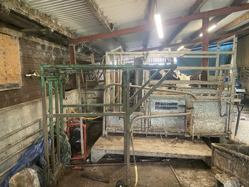 Cattle crush farm supplies - crush,