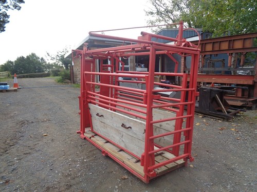 Rancher squeeze cattle - squeeze, crush