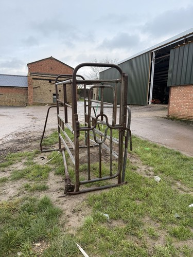 Cattle crush