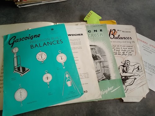 Gascoigne utilities weight - gascoigne,