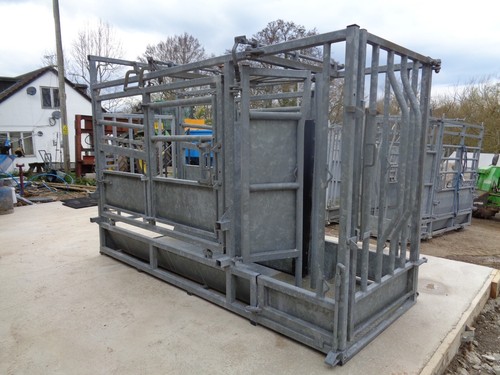 Iae extra large squeeze cattle - large,