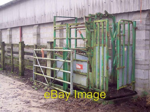 Photo 6x4 cattle crush stoke - photo,