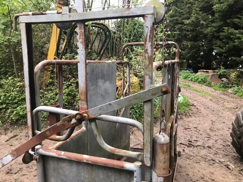 Cattle crush 380 delivery - cattle, £380
