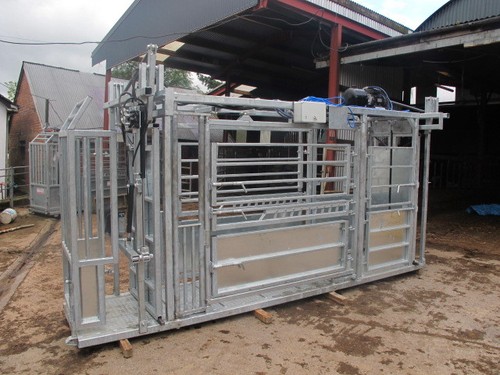 Cattle crush fully hydraulic