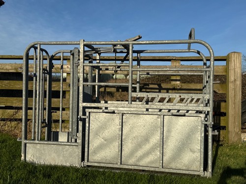 Iae calf crush for - iae,
