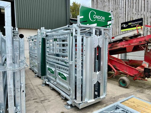 Condon warrior squeeze cattle - condon,