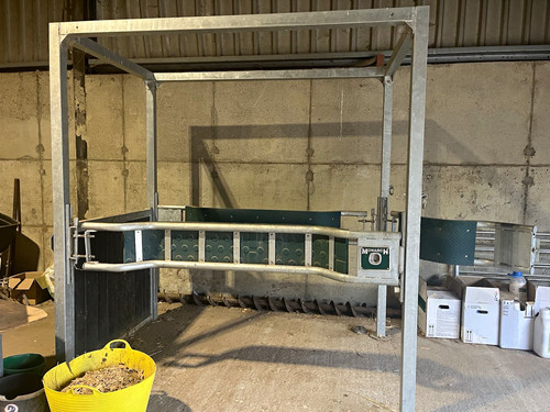 Monarch livestock cattle - monarch,