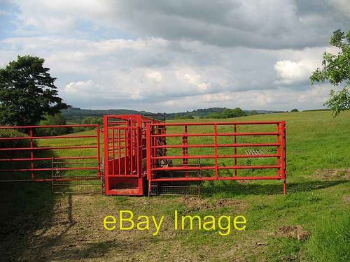 Photo 6x4 new cattle crush - photo,