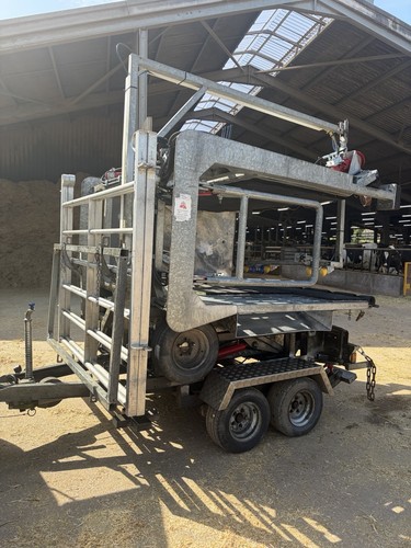 Used cattle crush - cattle,
