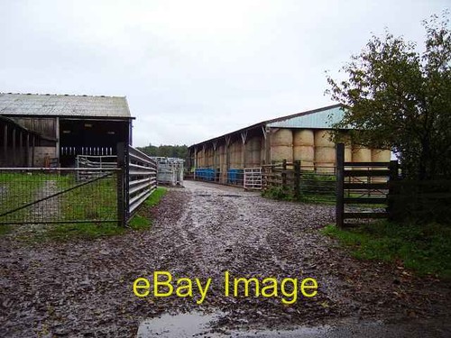 Photo 6x4 billie mains - 6x4,