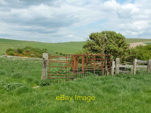 Photo 6x4 derelict cattle - photo,