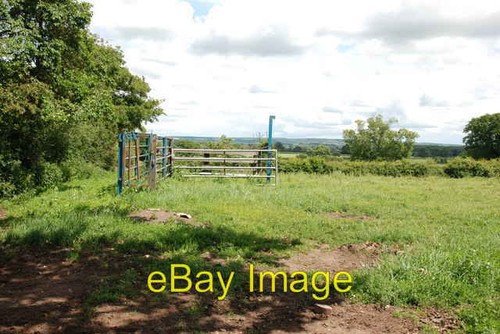 Photo 6x4 collecting yard - 6x4,