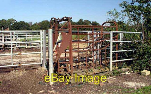 Photo 6x4 cattle crush - 6x4, on